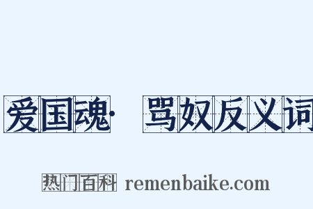 爱国魂·骂奴反义词是什么意思的图片